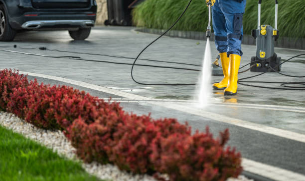 Best Roof Pressure Washing  in Lackawanna, NY